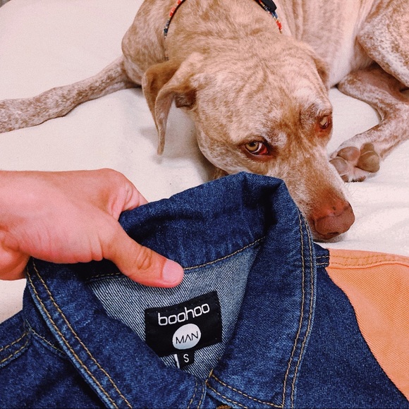 ๐ฅHots Pick๐ฅRare Peach Jacket Special Edition ๐ - Picture 6 of 6